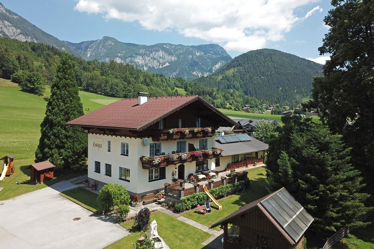 Appartments Am Esslgut Haus im Ennstal Exterior photo